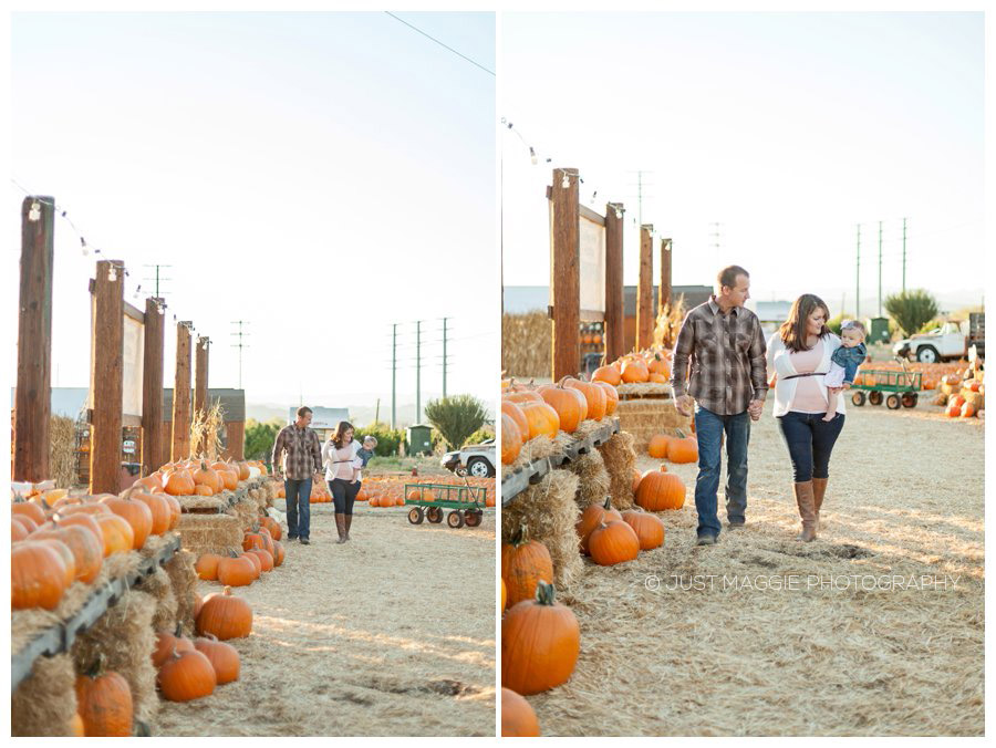 Fernando Patch Pumpkin San Valley